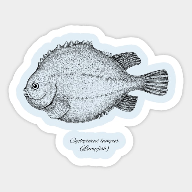 CYCLOPTERUS LUMPUS Sticker by eugeniahauss